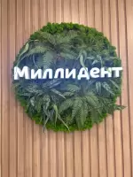 Ильмира, изображение к комментарию.