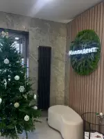 Ильдана Газизова, изображение к комментарию.