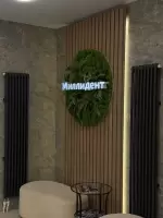 Айгуль Тухватуллина, изображение к комментарию.
