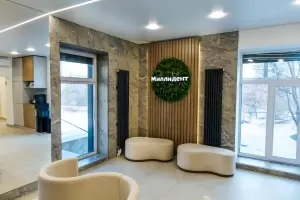 Фотография Миллидент 0